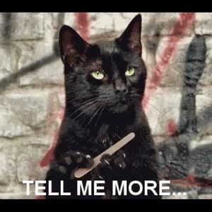 Meet your Posher, Angi